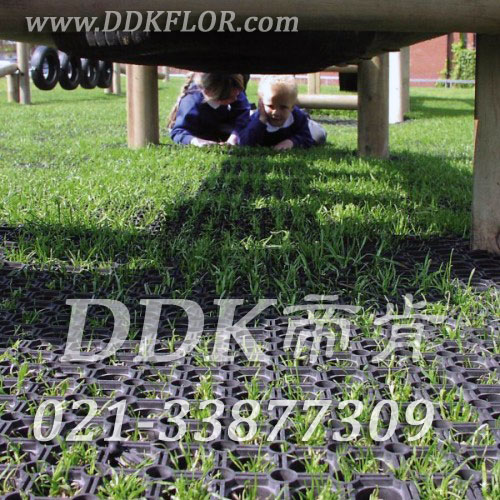 室外活動區域_草坪地保護_黑色樣板圖片,帝肯(DDK)_400_222效果圖, 室外活動區域_草坪地保護_黑色樣板圖片,帝肯(DDK)_400_222效果圖,草坪保護墊,幼兒園戶外地墊,幼兒園戶外地板,幼兒園室外地膠,幼兒園室外地墊,幼兒園地面防滑墊,帶孔防滑墊,戶外網狀橡膠墊,戶外地毯,室外地毯