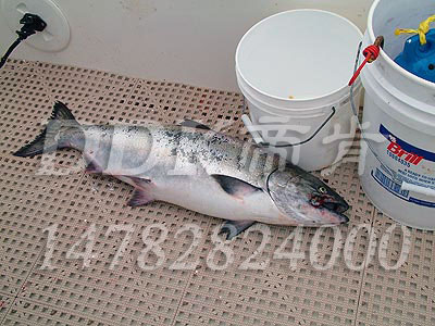 475�`����ͧ�װ�W��y��12mm��PVC�����|,