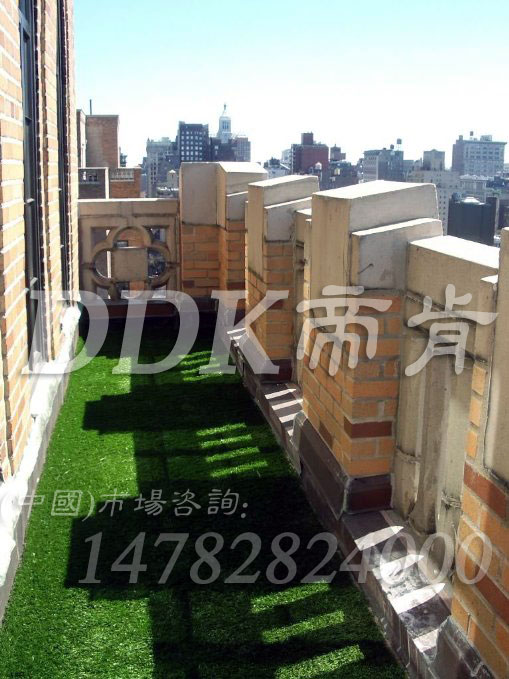 【陽臺不鋪地磚鋪人造草坪】陽臺鋪人造草坪樣板圖片,帝肯(DDK)_6200(Green|歌林)效果圖 【陽臺不鋪地磚鋪人造草坪】陽臺鋪人造草坪樣板圖片,帝肯(DDK)_6200(Green|歌林)效果圖,戶外塑料草坪,露臺草坪,草坪地毯,人造草坪,仿真草坪