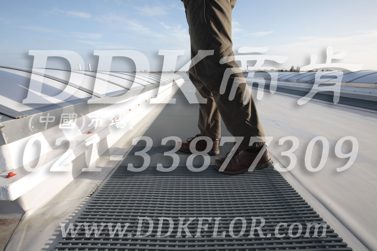 ���ƽ�_�������ȷ�����̺